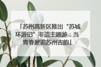 苏州高新区推出“苏城环游记”非遗主题游：当青春邂逅苏州古韵
