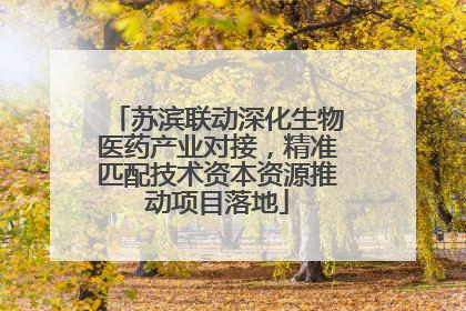 苏滨联动深化生物医药产业对接，精准匹配技术资本资源推动项目落地