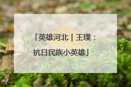 英雄河北｜王璞：抗日民族小英雄