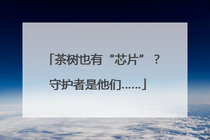茶树也有“芯片”？守护者是他们……