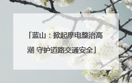 蓝山：掀起摩电整治高潮 守护道路交通安全