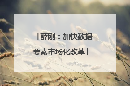 薛刚：加快数据要素市场化改革