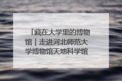 藏在大学里的博物馆｜走进河北师范大学博物馆天地科学馆：在校园里赴一场“宇宙之约”
