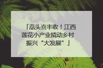 藠头喜丰收！江西莲花小产业撬动乡村振兴“大发展”
