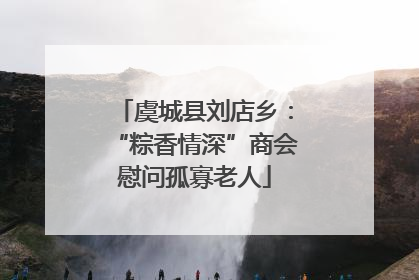 虞城县刘店乡：“粽香情深”商会慰问孤寡老人