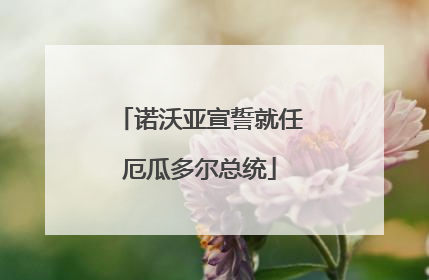 诺沃亚宣誓就任厄瓜多尔总统