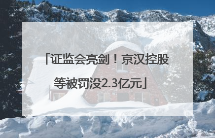 证监会亮剑！京汉控股等被罚没2.3亿元