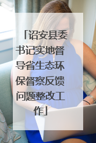 诏安县委书记实地督导省生态环保督察反馈问题整改工作