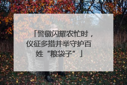 警徽闪耀农忙时，仪征多措并举守护百姓“粮袋子”