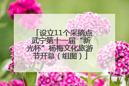 设立11个采摘点 武宁第十一届“新光杯”杨梅文化旅游节开幕（组图）