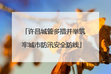许昌城管多措并举筑牢城市防汛安全防线