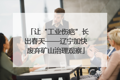 让“工业伤疤”长出春天——辽宁加快废弃矿山治理观察