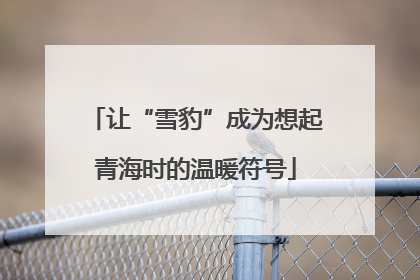 让“雪豹”成为想起青海时的温暖符号