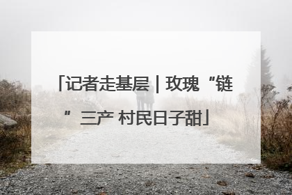 记者走基层｜玫瑰“链”三产 村民日子甜
