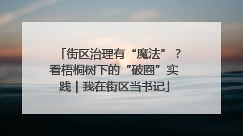 街区治理有“魔法”？看梧桐树下的“破圈”实践｜我在街区当书记
