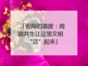 街角的温度：商居共生让这里文明“活”起来