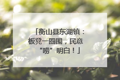 衡山县东湖镇：板凳一圈围，民意“唠”明白！