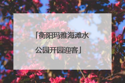 衡阳玛雅海滩水公园开园迎客