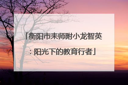 衡阳市耒师附小龙智英：阳光下的教育行者