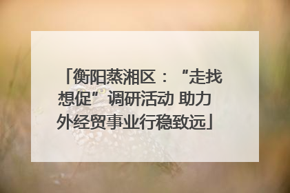 衡阳蒸湘区：“走找想促”调研活动 助力外经贸事业行稳致远
