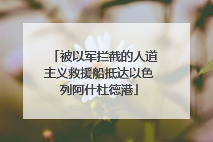 被以军拦截的人道主义救援船抵达以色列阿什杜德港
