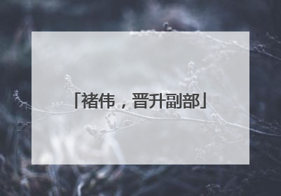 褚伟，晋升副部