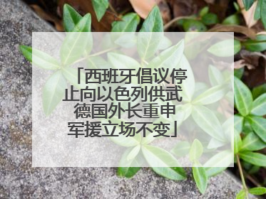 西班牙倡议停止向以色列供武 德国外长重申军援立场不变