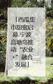 西瓜集市甜蜜启幕 宁波高塘岛推动“农业+”融合发展