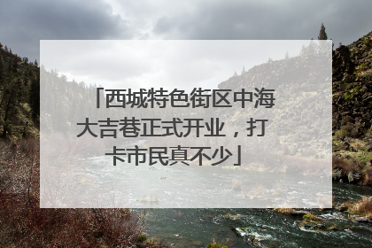 西城特色街区中海大吉巷正式开业，打卡市民真不少