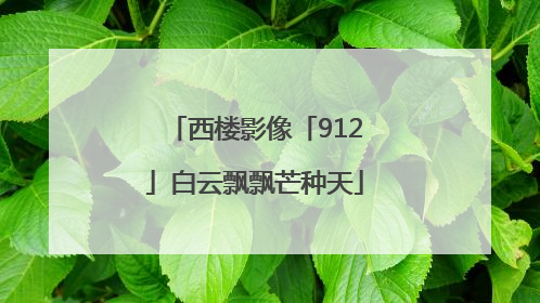 西楼影像「912」白云飘飘芒种天