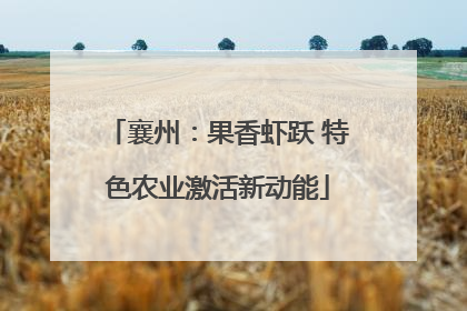 襄州：果香虾跃 特色农业激活新动能