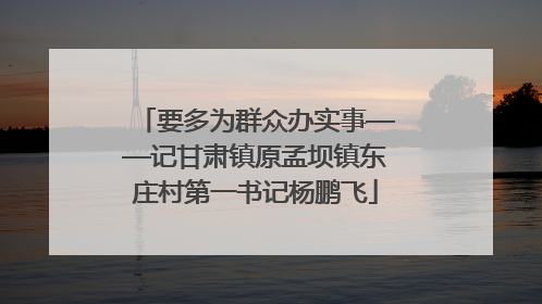 要多为群众办实事——记甘肃镇原孟坝镇东庄村第一书记杨鹏飞