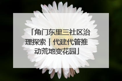 角门东里三社区治理探索｜代建代管推动荒地变花园