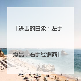 进击的白象：左手爆品，右手经销商