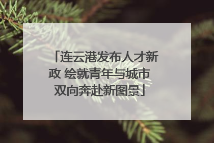 连云港发布人才新政 绘就青年与城市双向奔赴新图景