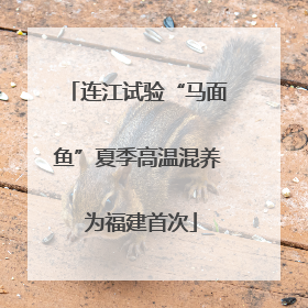 连江试验“马面鱼”夏季高温混养 为福建首次