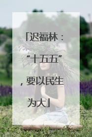 迟福林：“十五五”，要以民生为大