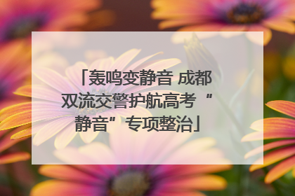 轰鸣变静音 成都双流交警护航高考“静音”专项整治