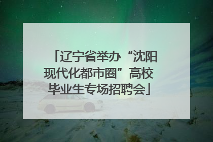 辽宁省举办“沈阳现代化都市圈”高校毕业生专场招聘会