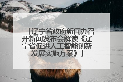 辽宁省政府新闻办召开新闻发布会解读《辽宁省促进人工智能创新发展实施方案》