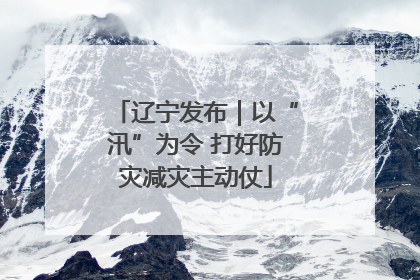 辽宁发布｜以“汛”为令 打好防灾减灾主动仗