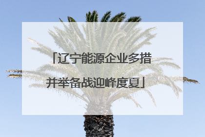 辽宁能源企业多措并举备战迎峰度夏