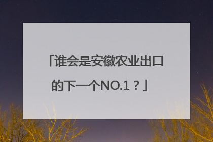 谁会是安徽农业出口的下一个NO.1？