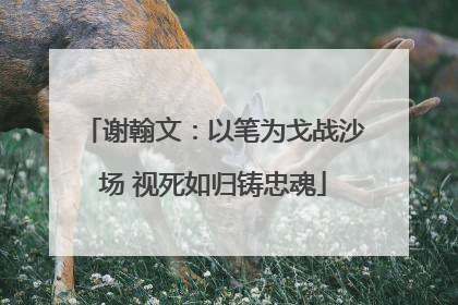 谢翰文：以笔为戈战沙场 视死如归铸忠魂