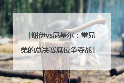 谢伊vs尼基尔：堂兄弟的总决赛席位争夺战
