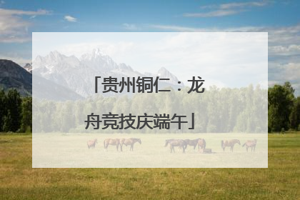 贵州铜仁：龙舟竞技庆端午