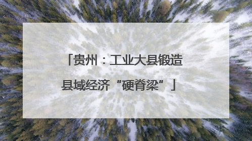 贵州：工业大县锻造县域经济“硬脊梁”