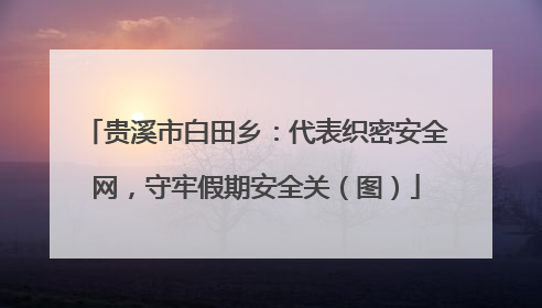 贵溪市白田乡：代表织密安全网，守牢假期安全关（图）