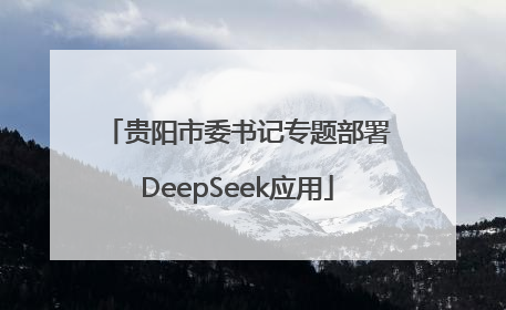 贵阳市委书记专题部署DeepSeek应用