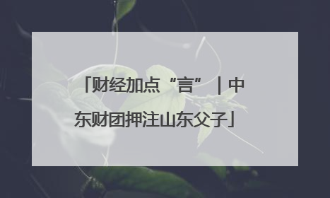 财经加点“言”｜中东财团押注山东父子